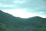 IMG_9810.JPG